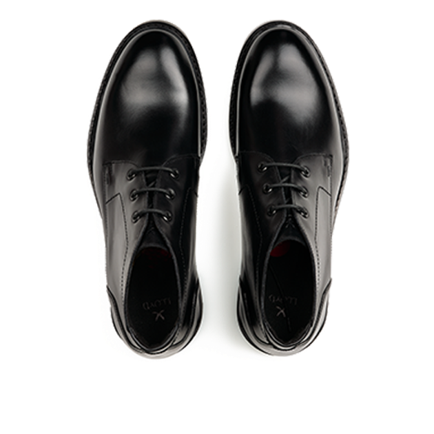 Lloyd 25-604-00 VIBE 325 boots in black