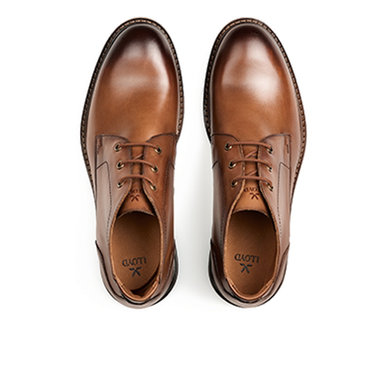 Lloyd 25-604-03 VIBE 325 Boots in brown