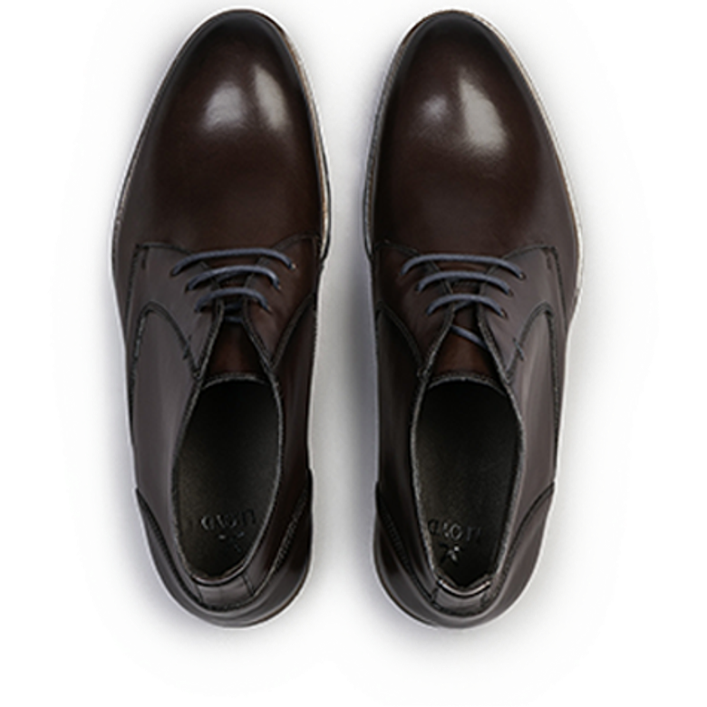 Lloyd 26-665-05 DRAMON 325 Boots in brown