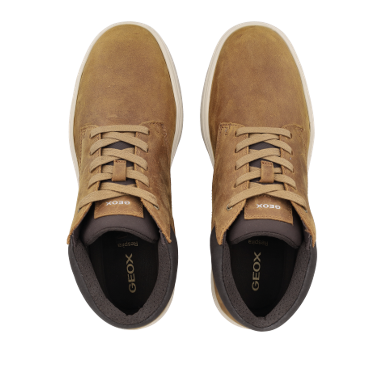GEOX BALTMOORE Boots in braun