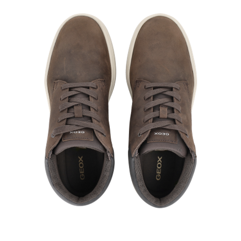 GEOX BALTMOORE Boots in brown