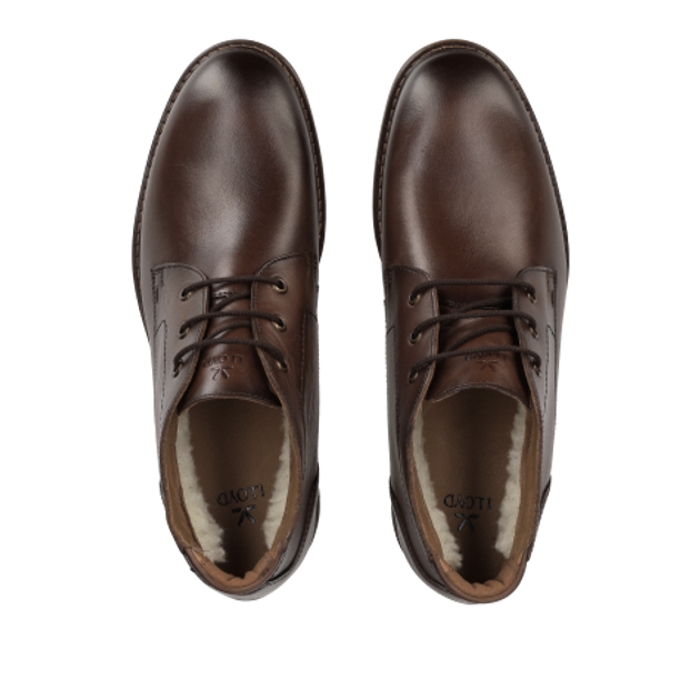 Lloyd 25-605-03 VIBE 327G Warm Lining in Brown
