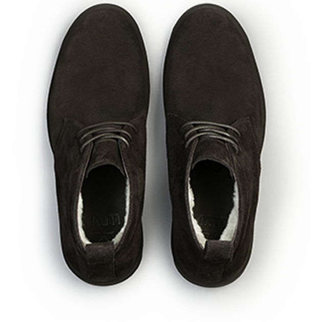 Lloyd 26-529-25 VENTON 325L Warm Lining in Brown