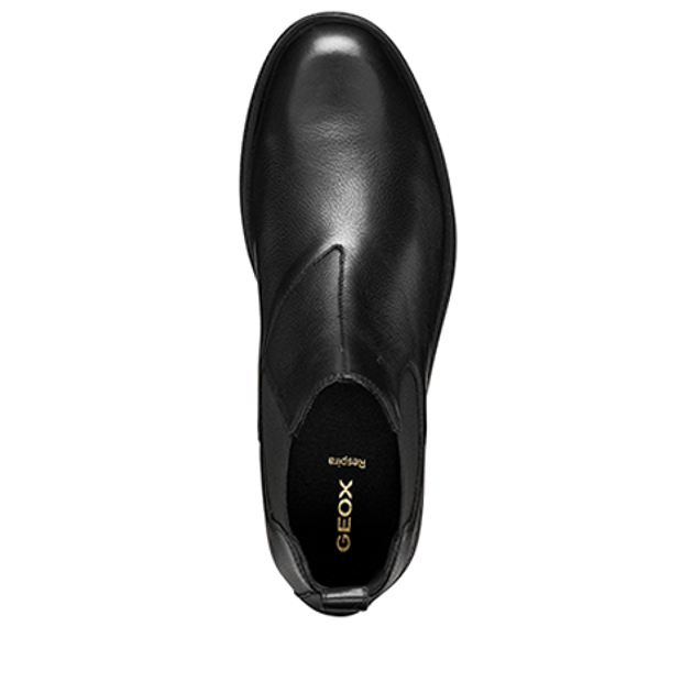 GEOX CLAUDIO Stiefeletten in schwarz