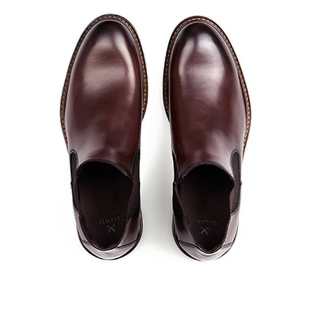 Lloyd 25-606-05 VIBE 315 Ankle boots in brown