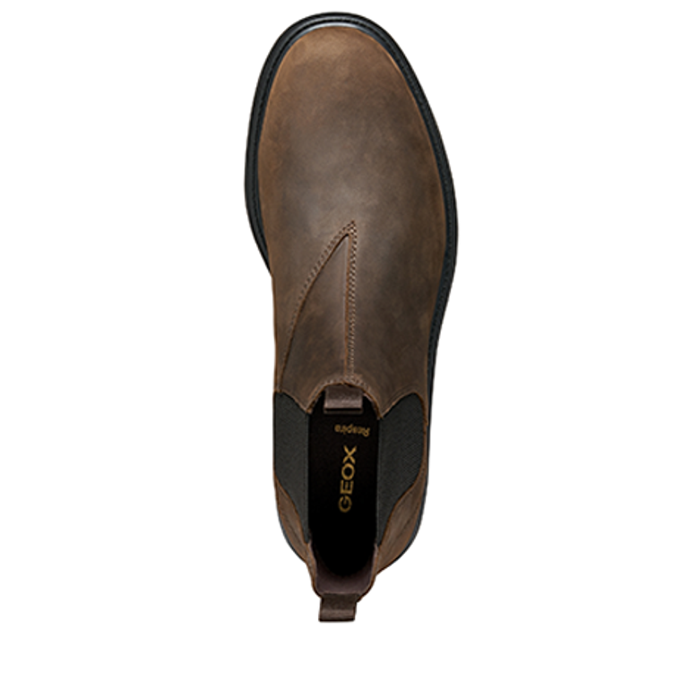 GEOX SPHERICA ankle boots in brown