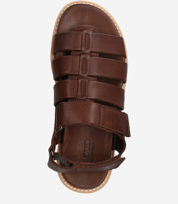 Timberland A5T48 Lincoln Peak Strap Sandaletts in brown buy