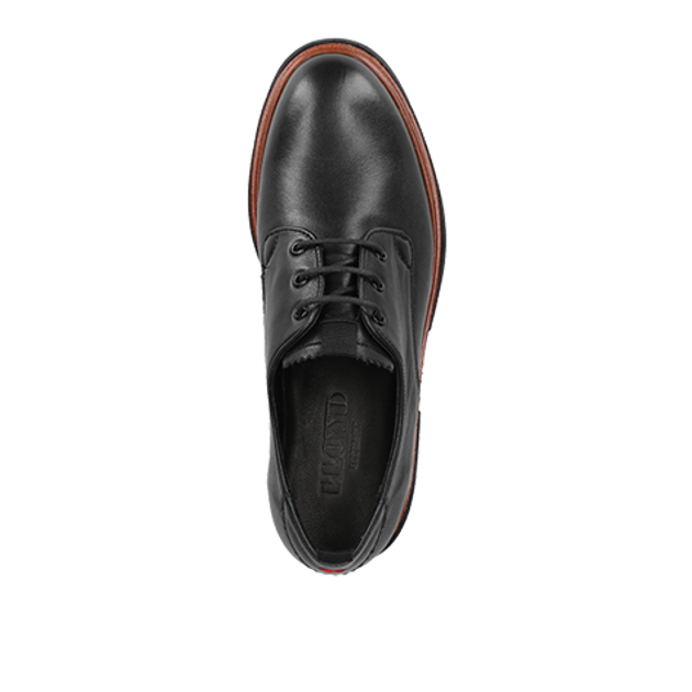 Lloyd 22-349-00 lace-up shoes in black