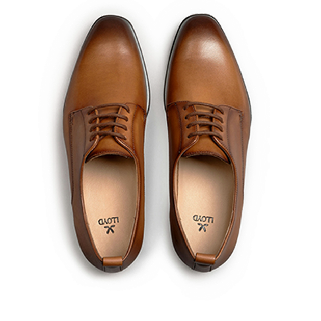 Lloyd 16-516-03 SKY 110 lace-up shoes in brown