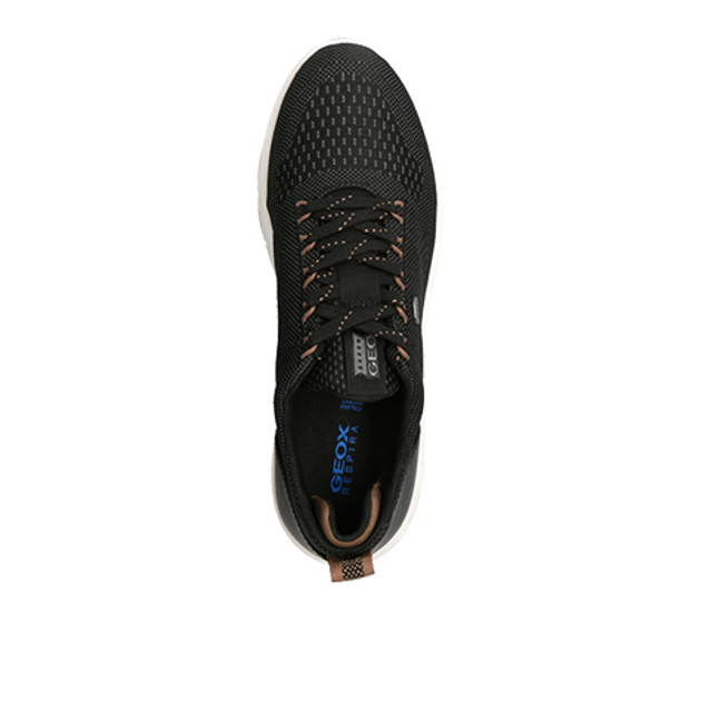 GEOX SPHERICA sneaker in black