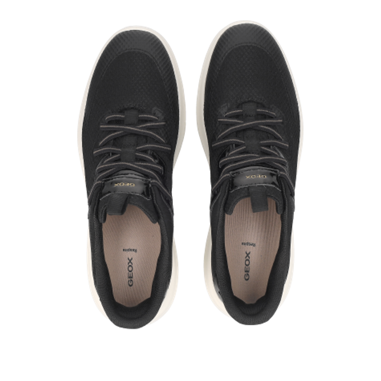 GEOX Plummery sneaker in black