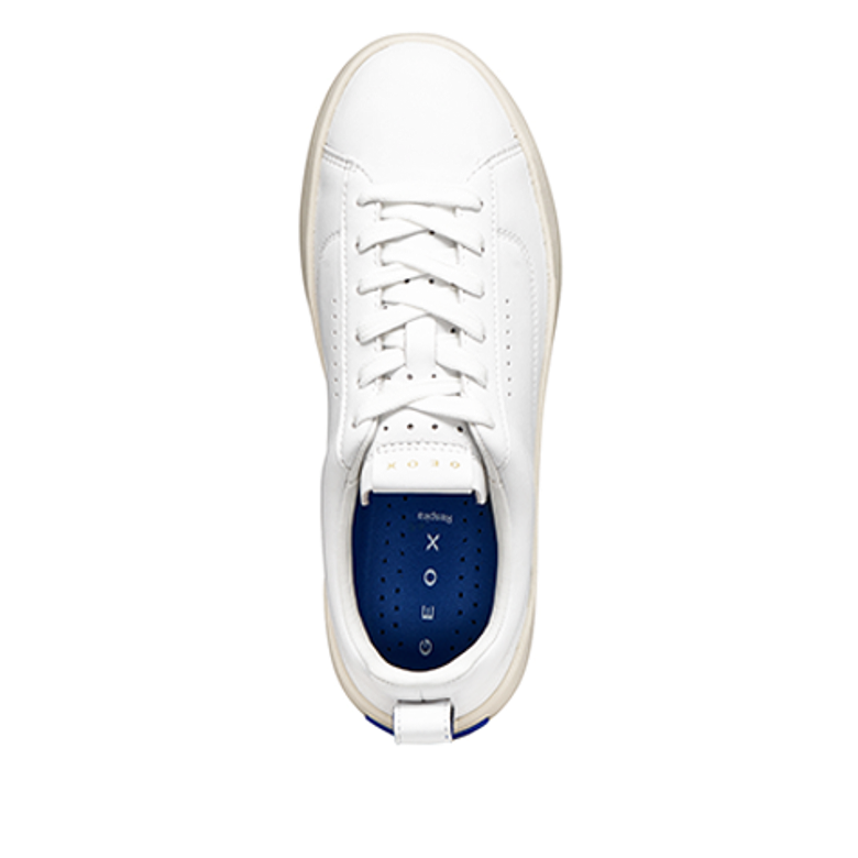 GEOX GXCP-01 sneaker in white