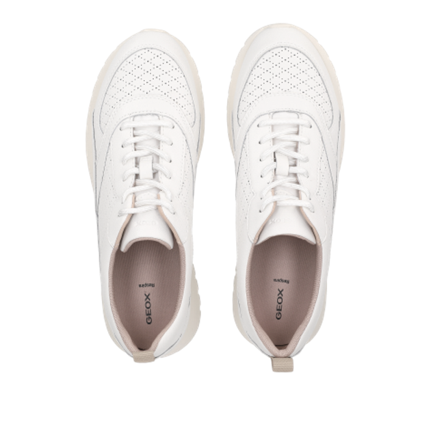 GEOX SUKIE 2.0 sneaker in white