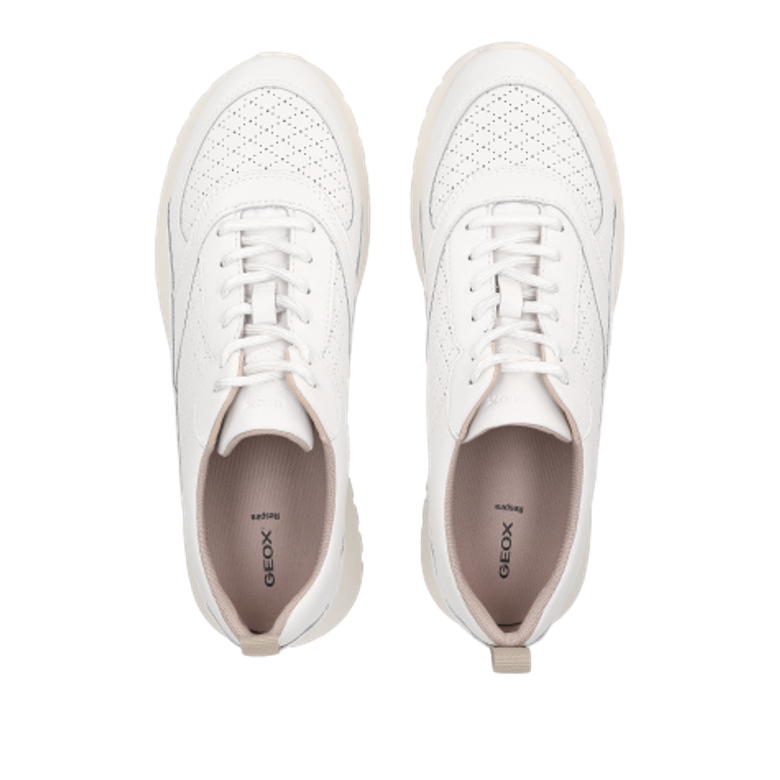 GEOX SUKIE 2.0 sneaker in white