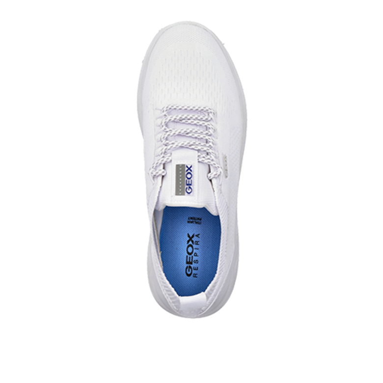 GEOX SPHERICA sneaker in white