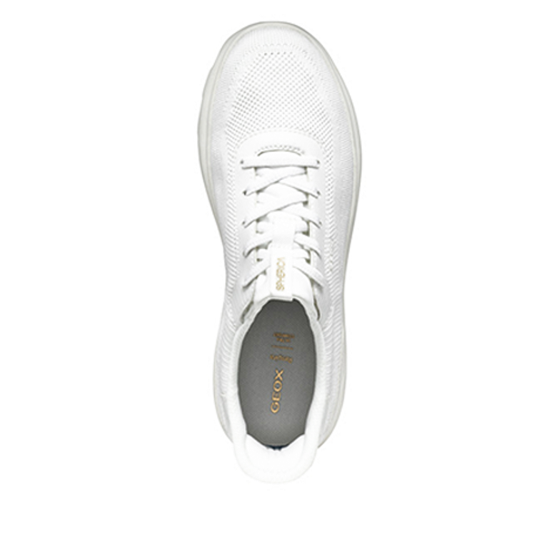 GEOX SPHERICA PLUS sneaker in white