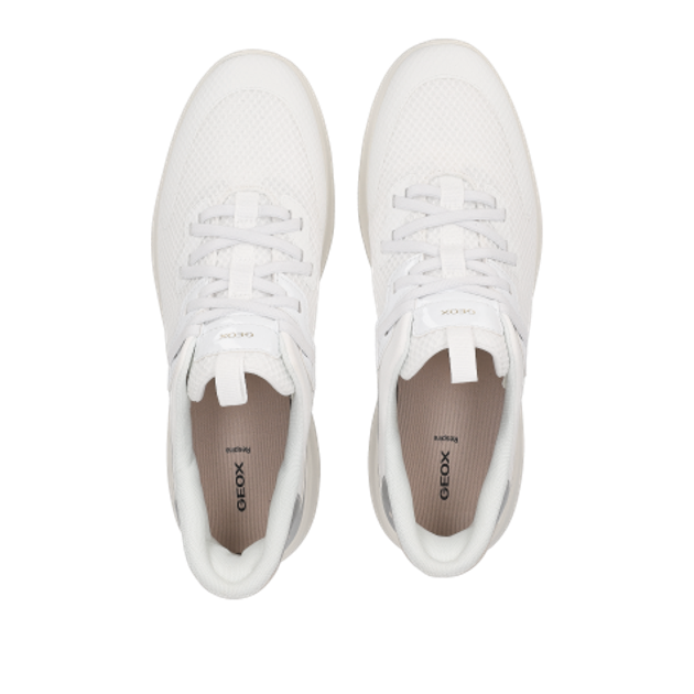 GEOX Plummery sneaker in silver
