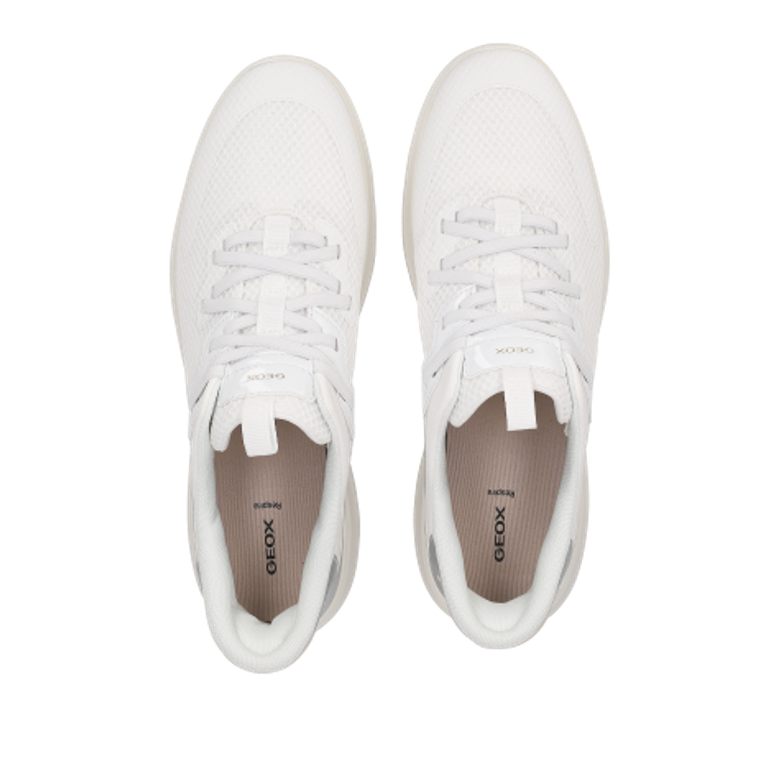 GEOX Plummery sneaker in silver