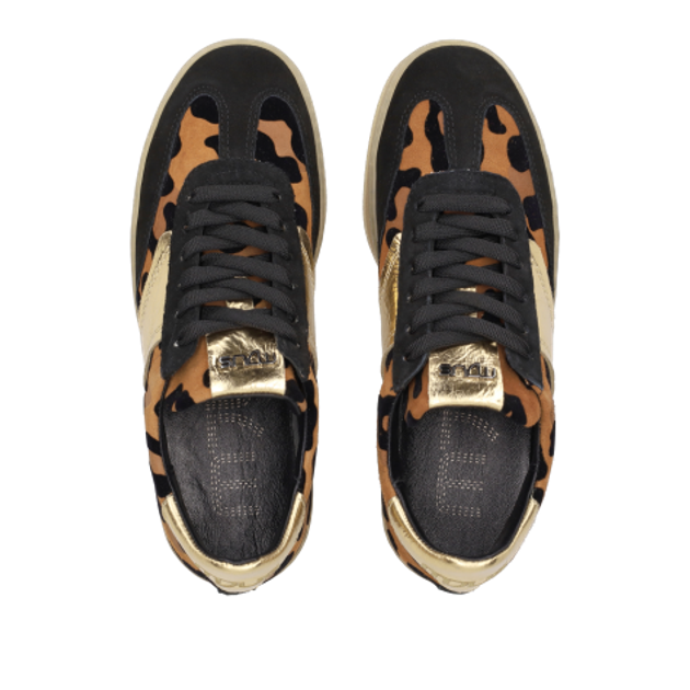 MJUS T94132 0001 NERO LEO sneaker in brown