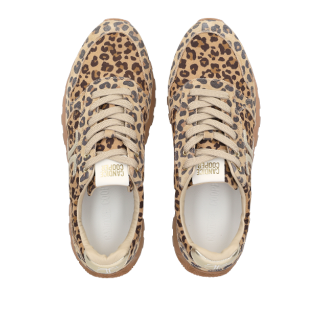 Candice Cooper 2019527.04.4D70 PLUME 5 sneaker in brown