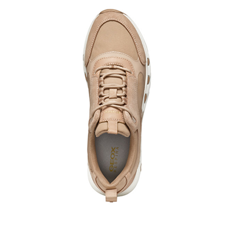 GEOX SPHERICA ECUB sneaker in beige