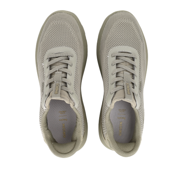 GEOX SPHERICA PLUS Sneaker in grün