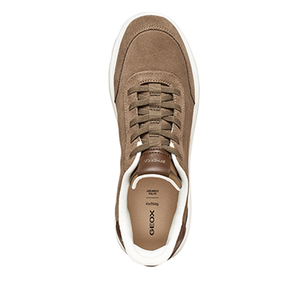 GEOX SPHERICA PLUS Sneaker in braun