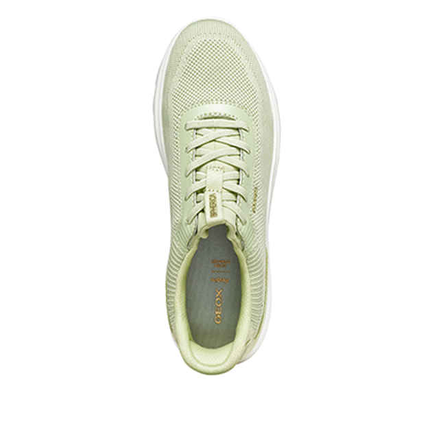 GEOX SPHERICA PLUS sneaker in green