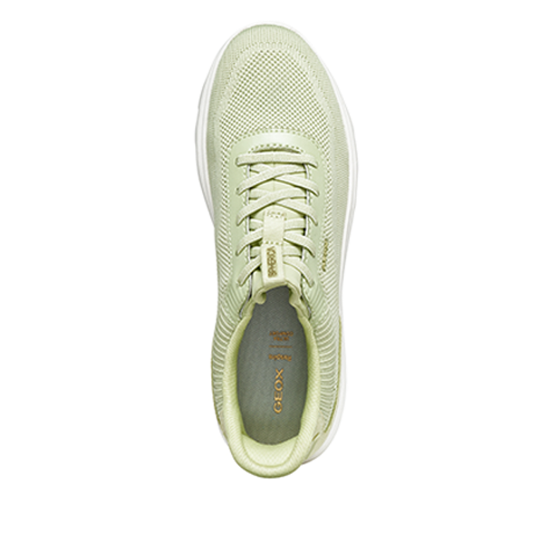 GEOX SPHERICA PLUS sneaker in green