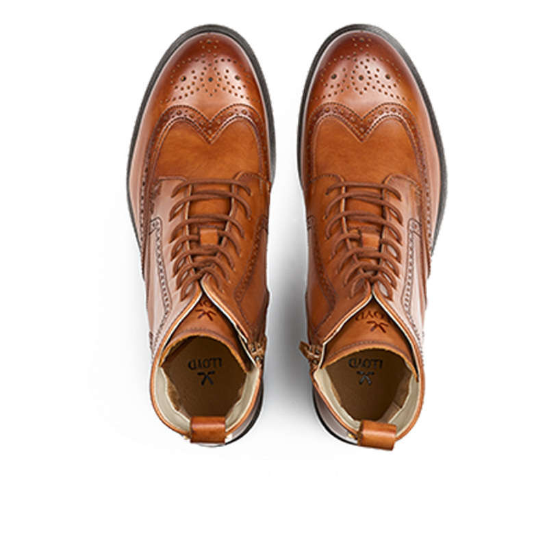 Lloyd 25-243-03 DARA 325 Boots in brown