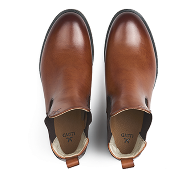 Lloyd 25-287-01 DARA 315 Ankle boots in brown