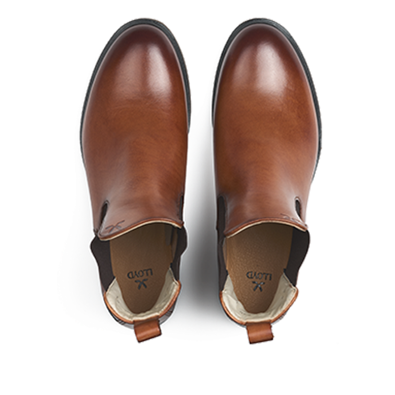 Lloyd 25-287-01 DARA 315 Ankle boots in brown