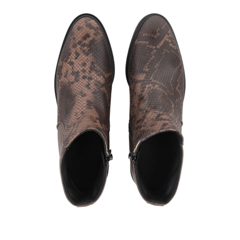 Donna Carolina ESTER LINE BOA CAFFÉ 58.743.092-002 Ankle Boots in Brown