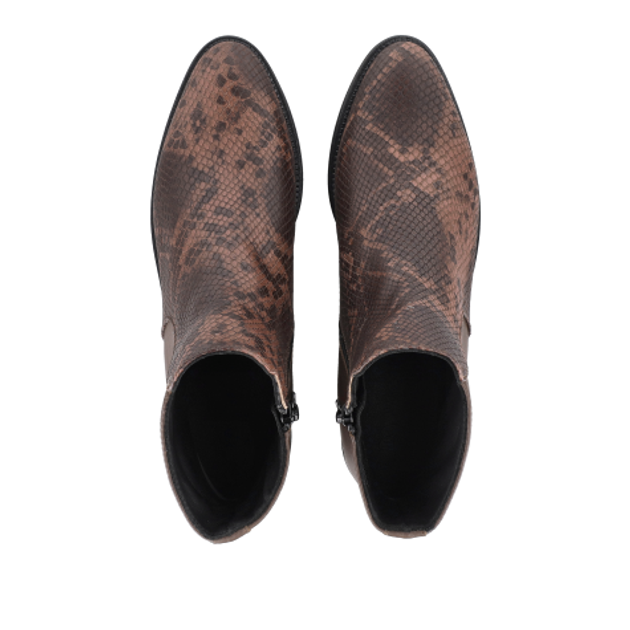 Donna Carolina ESTER LINE BOA CAFFÉ 58.743.092-002 Ankle Boots in Brown