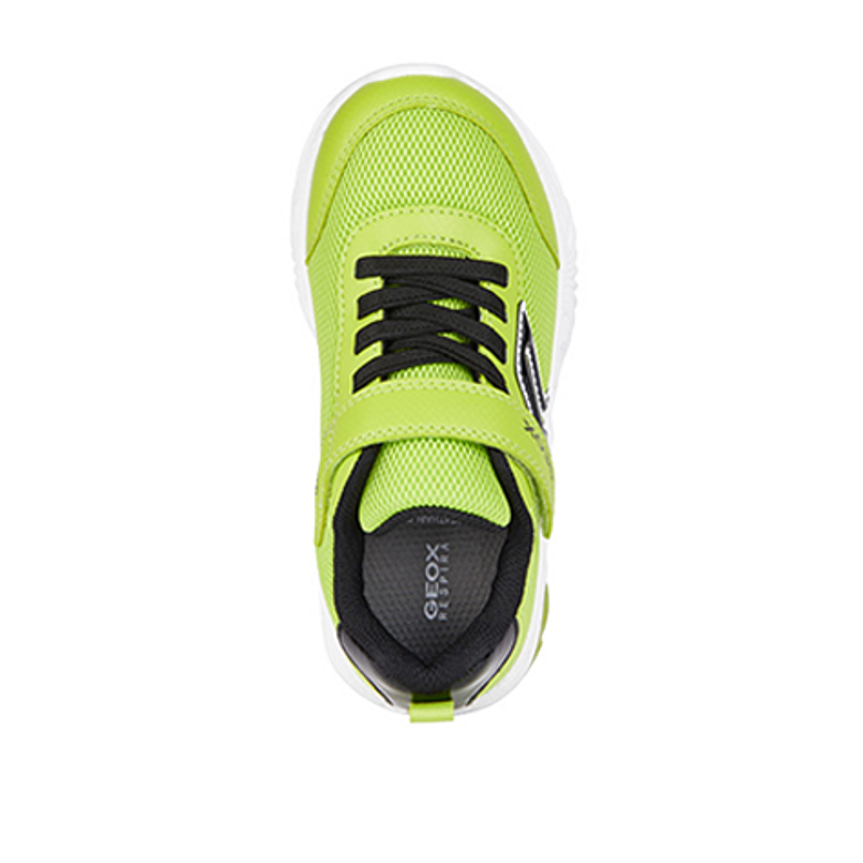 GEOX ASSISTER sneaker in yellow