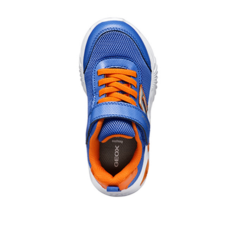 GEOX ASSISTER sneaker in blue