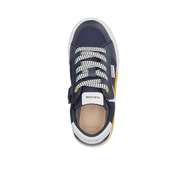 GEOX ALPHABEET sneaker in blue