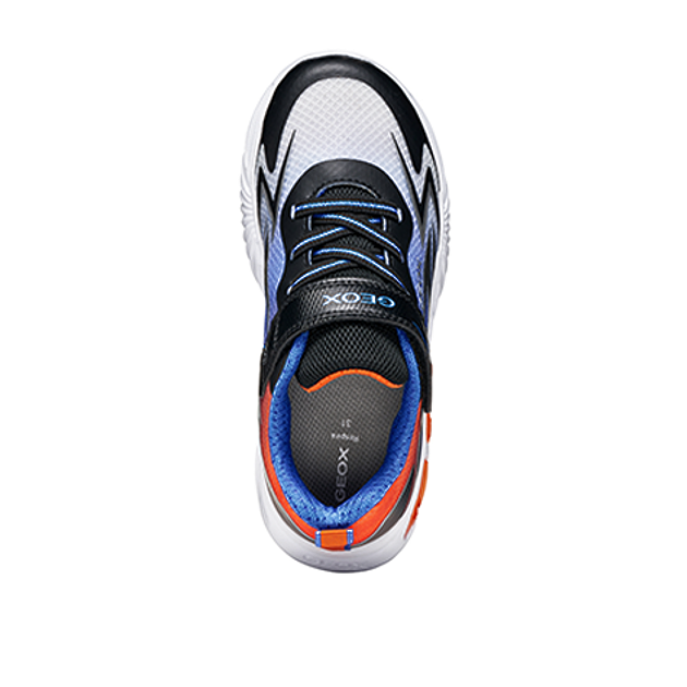 GEOX ASSISTER Sneakers in Blue
