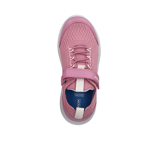 GEOX SPHERICA sneaker in rose