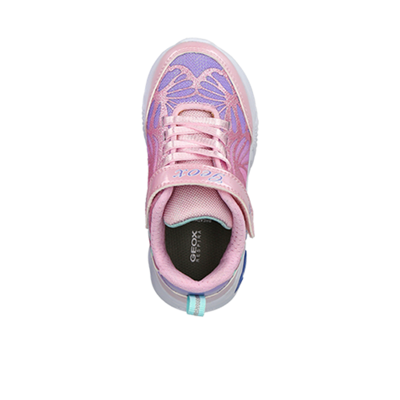 GEOX ASSISTER sneaker in rose