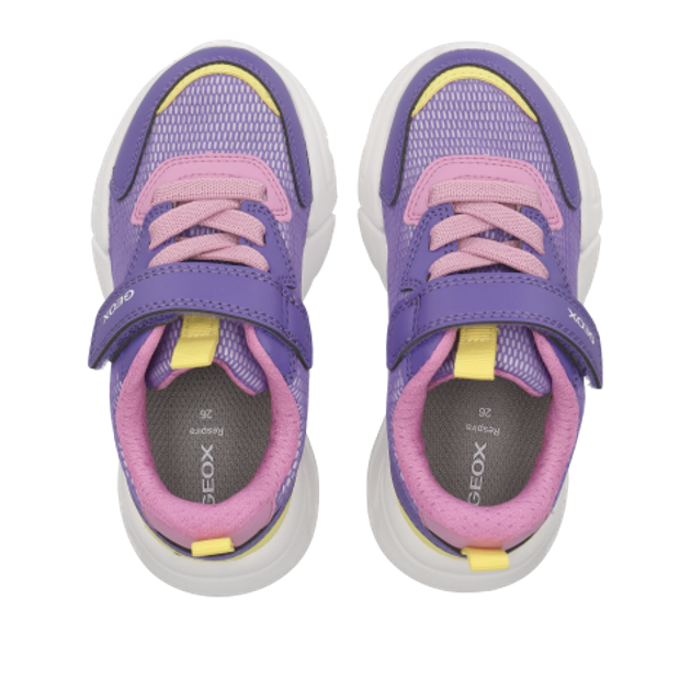 GEOX LOFTUS sneaker in purple