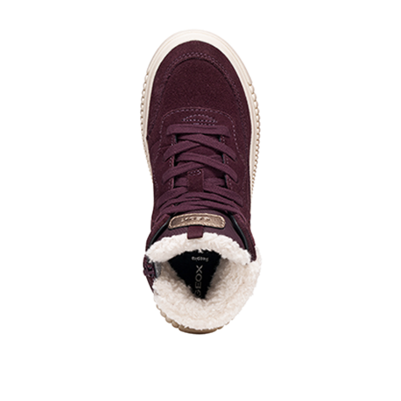 GEOX LAQUINNY Warmfutter in lila