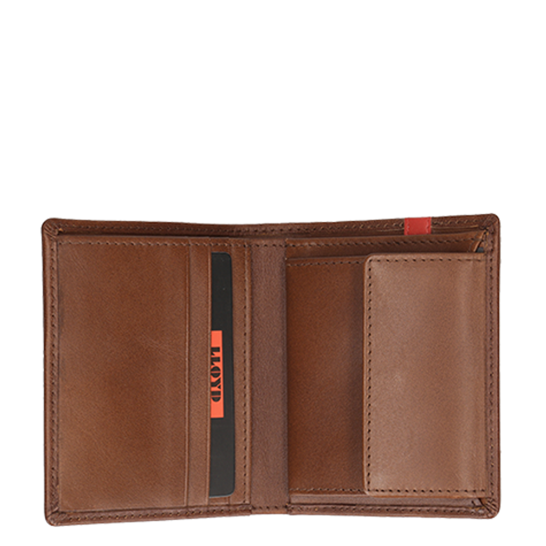 Lloyd Wallet upright in brown