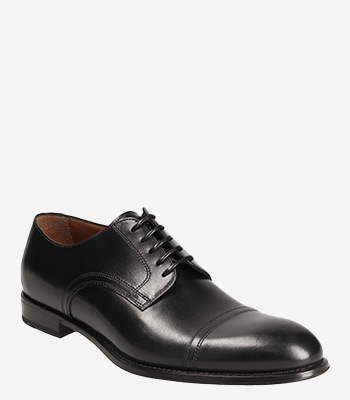 lottusse oxford