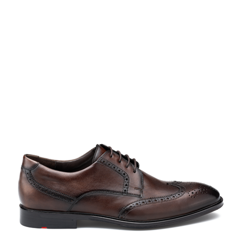 Lloyd 25-531-07 X-MOTION 140 lace-up shoes in brown