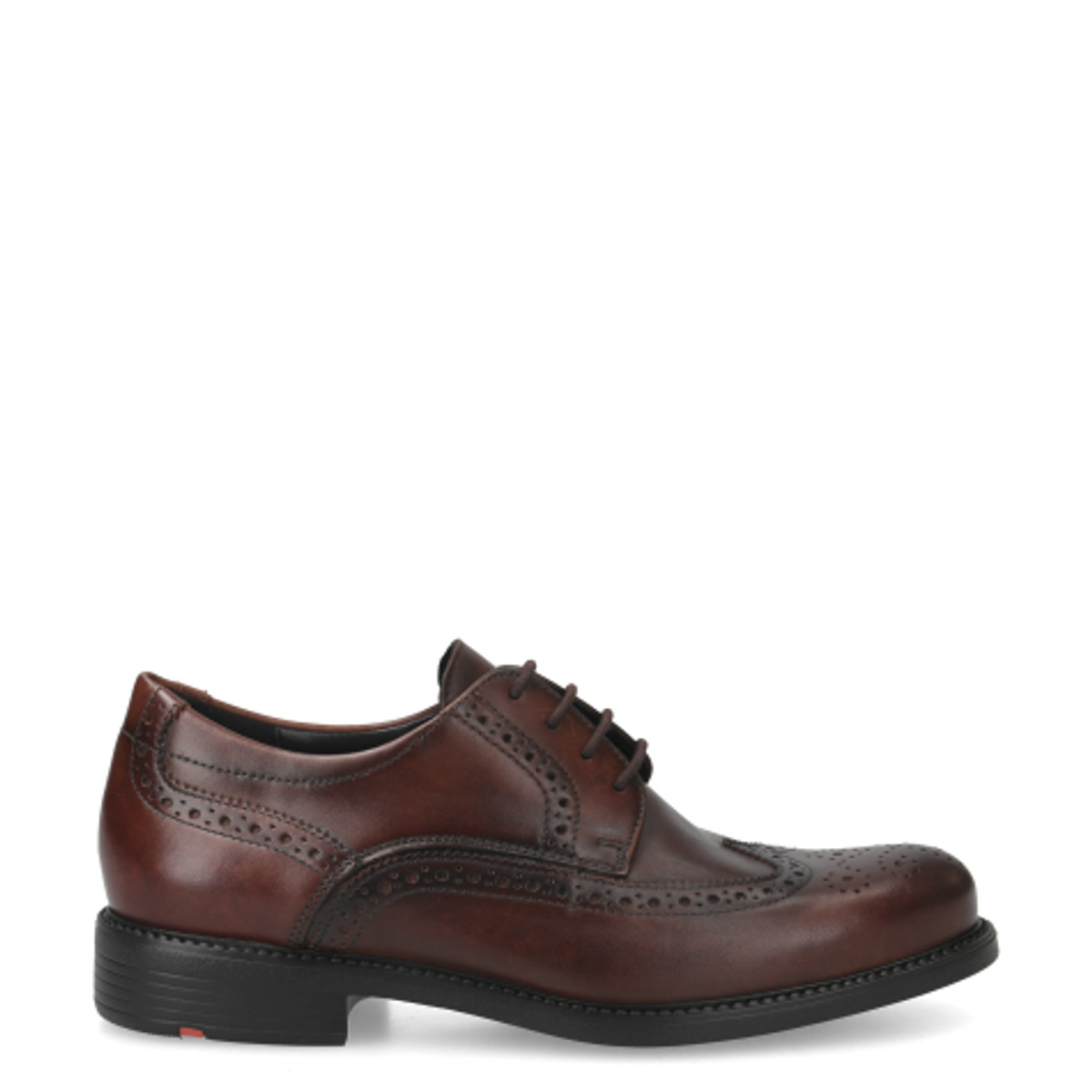 Lloyd 24-625-02 TAMPICO Lace-up shoes in brown buy online