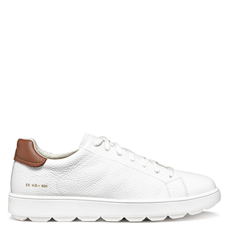 GEOX SPHERICA ECUB sneaker in white