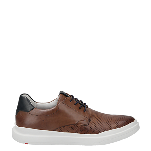 Lloyd 11-002-31* AGNEW sneaker in brown