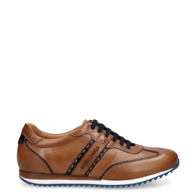 Galizio Torresi 313610 V19066 sneaker in brown