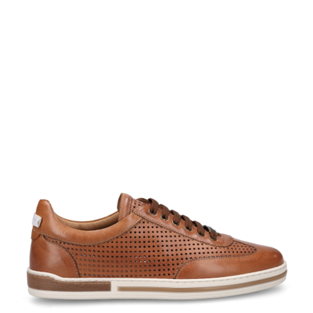 Galizio Torresi 411050 V.70468 Sneaker in brown